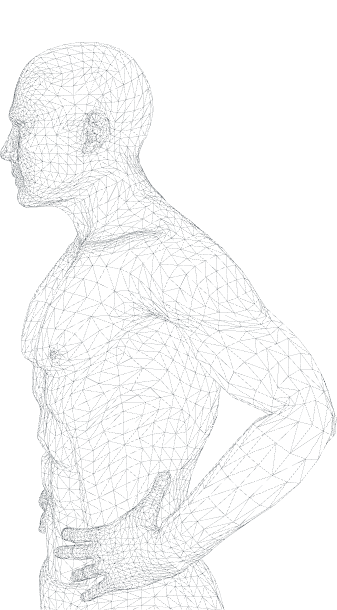 anatomy enciclopedia